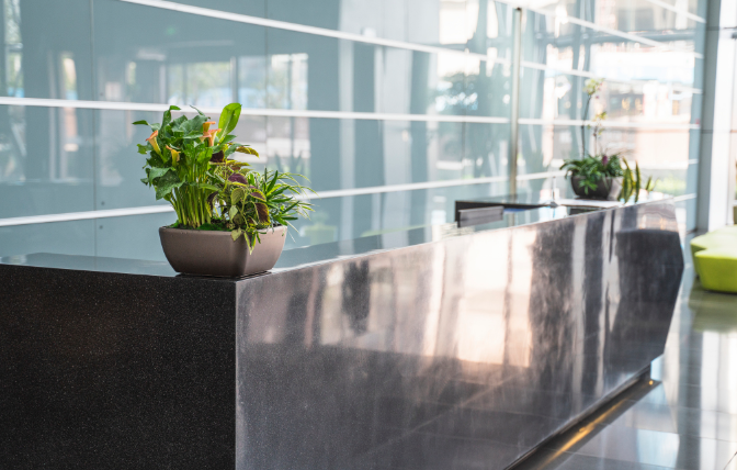 上海辦公室裝修前臺如何擺放綠植 上海辦公室裝修前臺如何擺放綠植