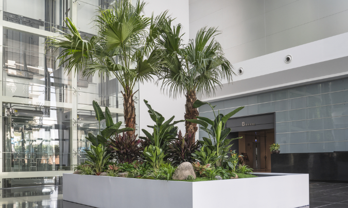 寫字樓裝修如何設(shè)計大廳綠植