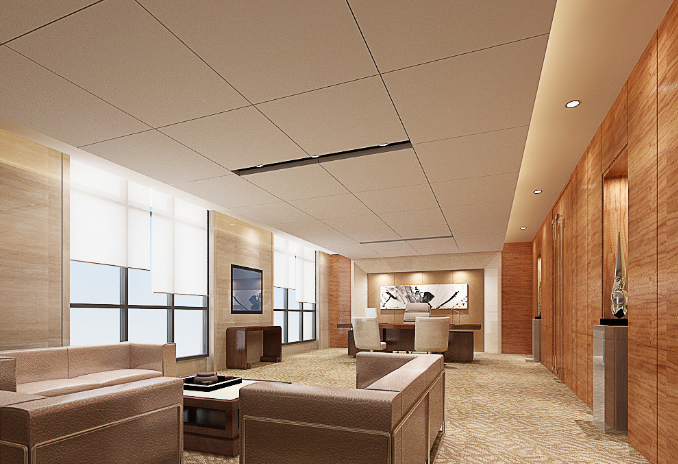 上海辦公室裝修設(shè)計(jì)：平安樹挑選全攻略，打造綠色辦公新體驗(yàn)！