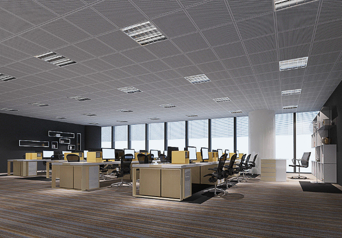 上海辦公室裝修設(shè)計(jì)：銅錢草，如何巧妙融入空間美學(xué)？